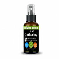 Saltwater Fishing Fish Attractant Spray:Quickly Attracts Fish,Stimulates Appetite,Promotes Fast Bites & Harvest for Ocean Angler black
