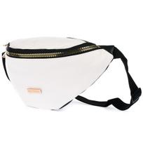 Kidney Bag, Hip Bag, Spacious Cordura Belt