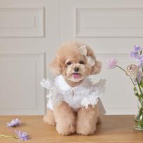 Pet Supplies Lace Ruffle Dog Princess Dress Fashion Breathable Cat Flying Sleeve Skirt Soft Dog Vest Spring (White,XS) balta