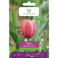 Tulipan Design Impression – 5 vnt.