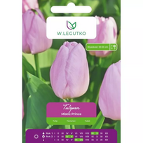 Tulipai Mistic Prince, 4 vnt.