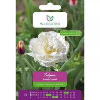 Tulipai Snow Crystal, 4 vnt.