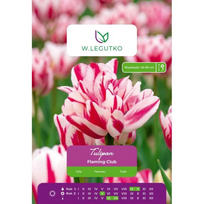Tulipai Flaming Club, 4 vnt.