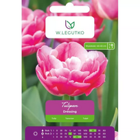 Tulipan padažai, 4 vnt.
