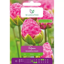 Tulipai Strawberry Cream, 4 vnt.