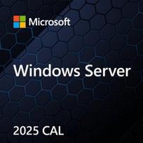 Microsoft Windows Server CAL 2025 EP2-25286, 1 licencija, kliento prieigos licencija, lenkų kalba