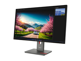 Lenovo ThinkVision P32UD-40 | 32 " | IPS | UHD | 16:9 | 120 Hz | 4 ms | 3840 x 2160 pixels | 350 cd/m² | Black