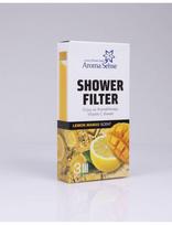 Vitaminų filtrai dušui Aroma Sense LEMON MANGO 3 vnt.