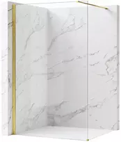 Dušo Siena Rea Flexi Transparent / Gold 110