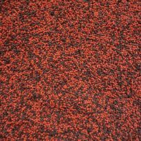 Metodinis pašaras su kapintomis aitriosiomis paprikomis ir halibutu, granulės 2 mm, 1 kg