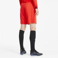 Puma Futbolo Šortai Vyrams TeamGoal 23 Knit Shorts Red 704262 01 704262 01/L
