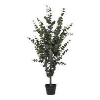 Dirbtinis eukaliptas HOUSE NORDIC 120cm Žalias