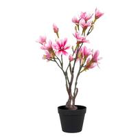 Magnolijos medis HOUSE NORDIC 75cm Žalias/Rožinis