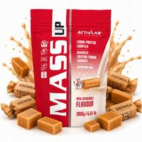 Baltyminis-angliavandenių gaineris ACTIVLAB MASS UP 3000 g su kreatinu, fudge skonis