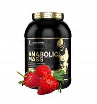Gaineris Kevin Levrone Anabolic Mass 3000g braškinis