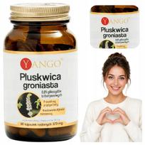 Žolelių YANGO patalinių blakių ekstraktas, 90 kaps.