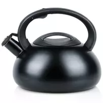 Nerūdijančiojo plieno virdulys su automatiniu švilpuku, juodas, 24 × 21,5 × 20 cm, 3 l