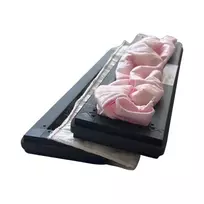 Systemair Save VTR 250 (BF) F7+M5