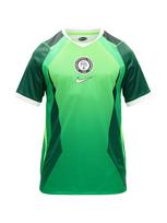 NIKE Triko 'Nigeria Home' žalia / neoninė žalia / šviesiai žalia / balta