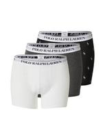 Polo Ralph Lauren Boxer trumpikės pilka / tamsiai pilka / juoda / balta