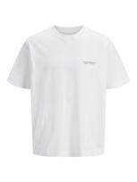 JACK & JONES Marškinėliai 'JORIslington' ruda (konjako) / rusvai žalia / balta