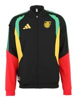 ADIDAS PERFORMANCE Sportinis džemperis 'Jamaica 26 x Bob Marley Tiro Presentation' geltona / šviesiai žalia / raudona / juoda