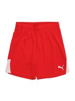 PUMA Sportinės kelnės 'TeamLIGA26' raudona / balta