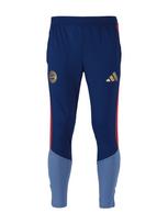 ADIDAS PERFORMANCE Sportinės kelnės 'FC Bayern München 26/27' opalo / tamsiai mėlyna / auksas / ugnies raudona
