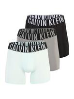 Calvin Klein Underwear Boxer trumpikės 'Intense Power' tamsiai pilka / mėtų spalva / juoda / balta