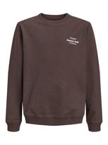 Jack & Jones Junior Megztinis be užsegimo 'JORNORREBRO' šokolado spalva / balta