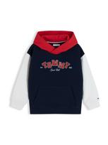 TOMMY HILFIGER Megztinis be užsegimo dramblio kaulo / tamsiai mėlyna / vyšninė spalva