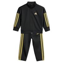 ADIDAS SPORTSWEAR Treniruočių kostiumas 'Essentials' žaliosios citrinos spalva / juoda