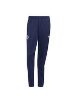 ADIDAS PERFORMANCE Sportinės kelnės 'FC Bayern München' tamsiai mėlyna / tamsiai raudona / balta