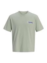 JACK & JONES Marškinėliai gencijono spalva / žalia / pastelinė žalia / balkšva