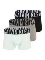 Calvin Klein Underwear Boxer trumpikės 'Intense Power' rausvai pilka / mėtų spalva / juoda / balkšva