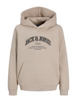 Jack & Jones Junior Megztinis be užsegimo 'JJEDenver' glaisto spalva / marga smėlio spalva / juoda