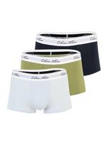 Calvin Klein Underwear Boxer trumpikės tamsiai mėlyna / dangaus žydra / kivių spalva / balta