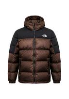 THE NORTH FACE Laisvalaikio striukė 'DIABLO' ruda / juoda