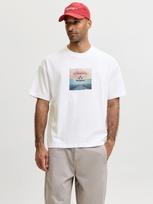 JACK & JONES Marškinėliai 'JCOECHO' glaisto spalva / šviesiai mėlyna / juoda / balta