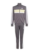 ADIDAS SPORTSWEAR Treniruočių kostiumas 'Seasonal Essentials Tiberio' pastelinė geltona / purvo spalva / balta