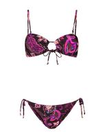 Shiwi Bikinis 'Zoe' baklažano spalva / levandų spalva / šviesiai rožinė