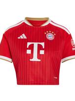 ADIDAS PERFORMANCE Triko 'FC Bayern München 26/27' smėlio spalva / raudona / tamsiai raudona / balta