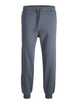 JACK & JONES Kelnės 'JPSTGordon JJBradley' bazalto pilka