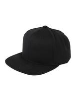 Flexfit Skrybėlaitė 'Snapback ' juoda