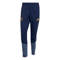 ADIDAS PERFORMANCE Sportinės kelnės 'FC Bayern München 26/27' tamsiai mėlyna / opalo / tamsiai geltona / vyšninė spalva