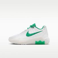 Nike LeBron Witness 9 White Stadium Green (GS) 39 blue