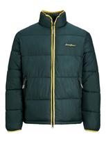 JACK & JONES Demisezoninė striukė 'Hays' tamsiai žalia