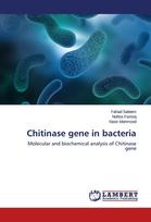 Chitinase gene in bacteria: Molecular and biochemical analysis of Chitinase gene