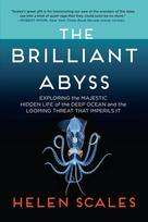 The Brilliant Abyss: Exploring the Majestic Hidden Life of the Deep Ocean, and the Looming Threat That Imperils It