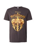 AMPLIFIED Marškinėliai 'MOTORHEAD - GOLD CREST 50TH' ruda / geltona / tamsiai geltona / antracito spalva
